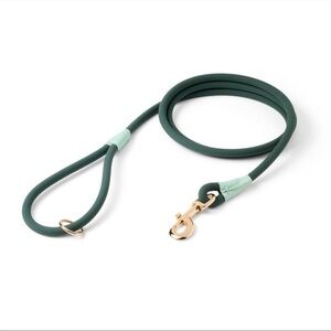Dog leash green tonal